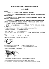 山东省烟台市莱州市2023-2024学年七年级下学期4月期中生物试题(无答案)