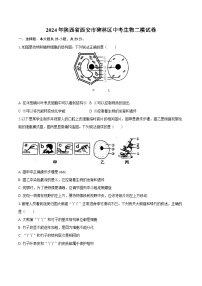 2024年陕西省西安市碑林区中考生物二模试卷（含解析）