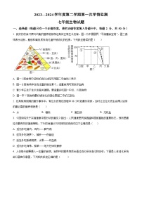 山东省济宁市金乡县2023-2024学年七年级下学期期中生物试题（原卷版+解析版）