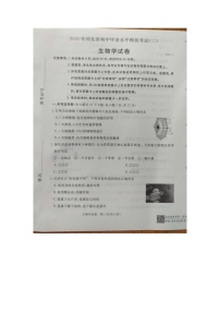 2024年河北省保定市高碑店市初中学业水平模拟考试（二）生物试题