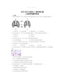 2022～2024北京初二中考一模生物试题分类汇编：人体的呼吸章节综合