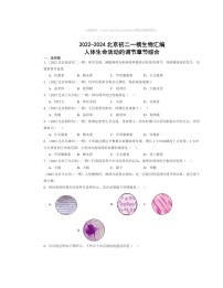 2022～2024北京初二中考一模生物试题分类汇编：人体生命活动的调节章节综合