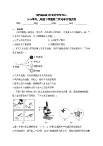 陕西省咸阳市实验中学2023-2024学年八年级下学期第二次月考生物试卷(含答案)