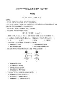 2024年中考第三次模拟考试题：生物（辽宁卷）（考试版）