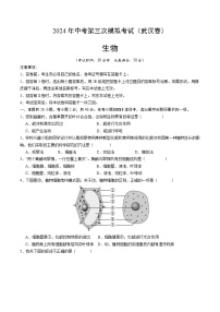 2024年中考第三次模拟考试题：生物（武汉卷）（考试版）