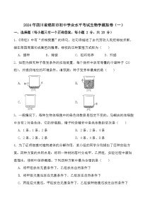 2024年四川省绵阳市初中学业水平考试生物学模拟卷（一）