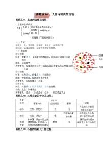 易错点10 人体内的物质运输-2024年中考生物考试易错题