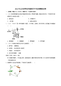 2024年山东省青岛市城阳区中考生物模拟试卷