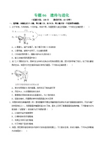 中考生物 专题06 遗传与进化（测试）（原卷版+解析版）