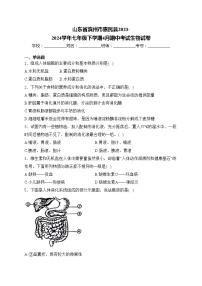 山东省滨州市惠民县2023-2024学年七年级下学期4月期中考试生物试卷(含答案)