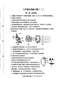 2024年山东省泰安市岱岳区中考二模生物试卷