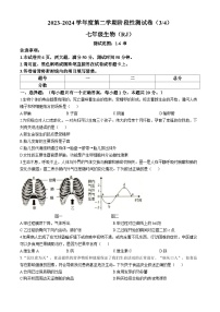 17，河南省南阳市方城县2023-2024学年七年级下学期5月月考生物试题(无答案)