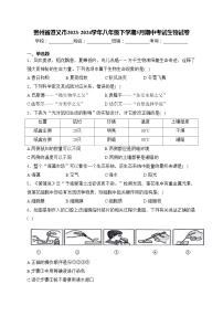 贵州省遵义市2023-2024学年八年级下学期5月期中考试生物试卷(含答案)