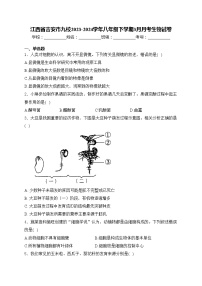 江西省吉安市九校2023-2024学年八年级下学期3月月考生物试卷(含答案)