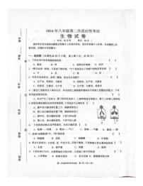 2024年河南省商丘市夏邑县八年级中考二模生物试题