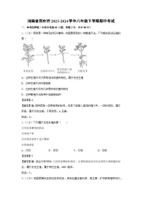 河南省郑州市2023-2024学年八年级下学期期中考试生物试卷（解析版）