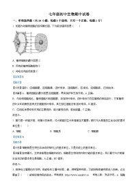 25，江苏省淮安市盱眙县2023-2024学年七年级下学期期中生物试题