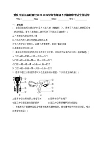 重庆市綦江县联盟校2023-2024学年七年级下学期期中考试生物试卷(含答案)