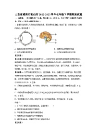 生物：山东省威海市乳山市2022-2023学年七年级下学期期末试题（解析版）
