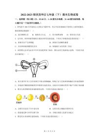 2022-2023学年深圳市龙华区七年级下学期末生物试卷