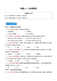 专题11 人体的呼吸-备战2024年中考生物一轮复习考点帮（全国通用）（原卷版）