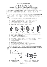 2024年辽宁省丹东市凤城市八年级中考二模生物试题