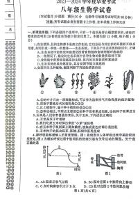 2024年辽宁省丹东市凤城市八年级中考二模生物试题