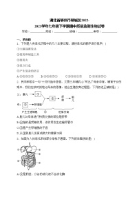 湖北省鄂州市鄂城区2022-2023学年七年级下学期期中质量监测生物试卷(含答案)