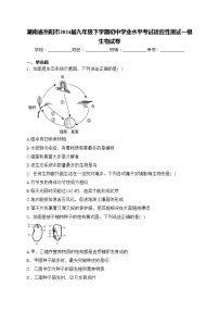 湖南省岳阳市2024届九年级下学期初中学业水平考试适应性测试一模生物试卷(含答案)