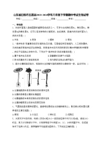 山东省日照市五莲县2023-2024学年八年级下学期期中考试生物试卷(含答案)