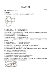 2024年山东省淄博市淄川区小中考二模生物试卷+