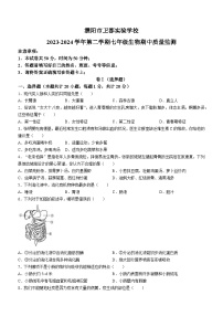 河南省濮阳市濮阳县卫都实验学校2023-2024学年七年级下学期期中生物试题(无答案)