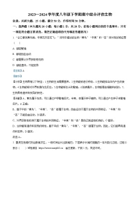 河南省许昌市禹州市2023-2024学年八年级下学期期中生物试题