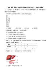 2023-2024学年山东省济南市天桥区七年级（下）期中生物试卷