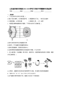 山东省济南市济阳区2022-2023学年八年级下学期期中生物试卷(含答案)