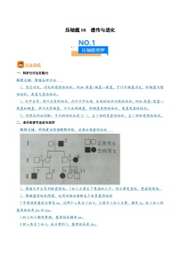 中考生物 压轴题08  遗传与进化 （原卷版+解析版）