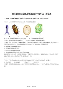 2024年湖北省孝感市孝南区中考生物一模试卷