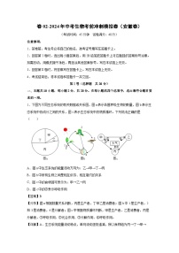 生物：卷02-2024年中考生物考前冲刺模拟卷（安徽卷）（解析版）