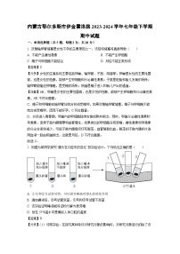 生物：内蒙古鄂尔多斯市伊金霍洛旗2023-2024学年七年级下学期期中试题（解析版）