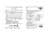 河南省周口市商水县希望初级中学2023-2024学年八年级下学期6月期末模拟生物试题