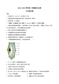 江苏省南通市海门区2022-2023学年七年级第二学期期末生物试卷（含答案解析）