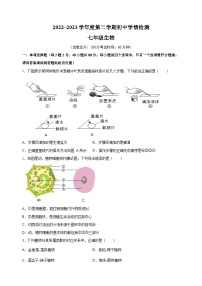 江苏省宿迁市沭阳县2022-2023学年七年级下学期期末生物试卷（含答案解析）