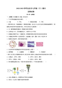 江苏省扬州市仪征市2022-2023学年七年级下学期期末生物试卷（含答案解析）