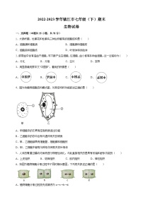 江苏省镇江市2022-2023学年七年级下学期期末生物试卷（含答案解析）