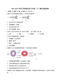 江西省南昌市2022-2023学年七年级下学期期末生物试卷