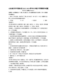 生物：山东省济宁市泗水县2023-2024学年七年级下学期期中试题（解析版）