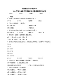 安徽省安庆市22校2023-2024学年七年级下学期期中综合素质调研生物试卷(含答案)