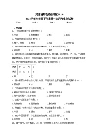 河北省邢台市任泽区2023-2024学年七年级下学期第一次月考生物试卷(含答案)