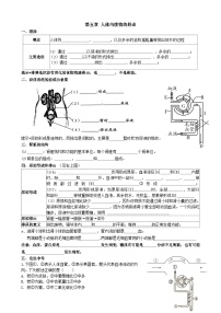 人教版 (新课标)七年级下册第五章 人体内废物的排出当堂检测题