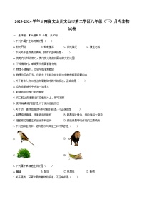 2023-2024学年云南省文山州文山市第二学区八年级（下）月考生物试卷（含解析）